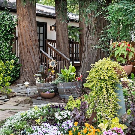 Candlelight Inn Napa Valley 객실 사진